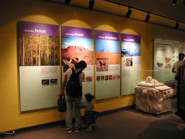 Los Angeles Natural History Museum Los Angeles Natural History Museum enlisted Platon Graphics to do their signange