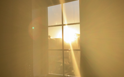 How to Remove Vinyl Decals From a Window