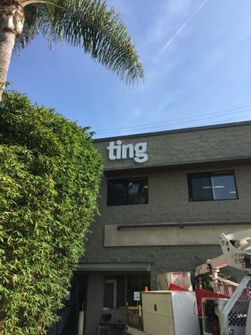 ting - front and halo lit sign a building with a palm tree in front of it.