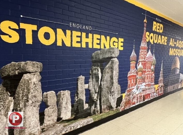 Custom Wall Murals For La Museums