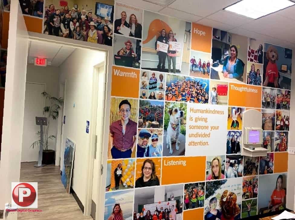 Gym Wall Wraps In La
