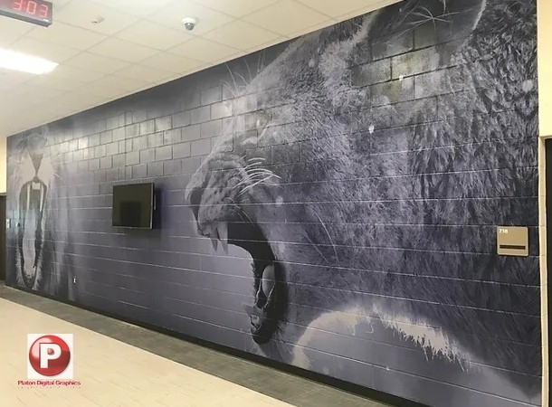 Interior Wall Wraps