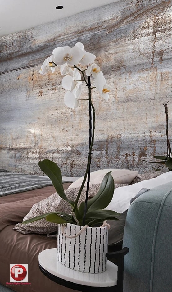 Los Angeles Architectural Wall Vinyl Wraps