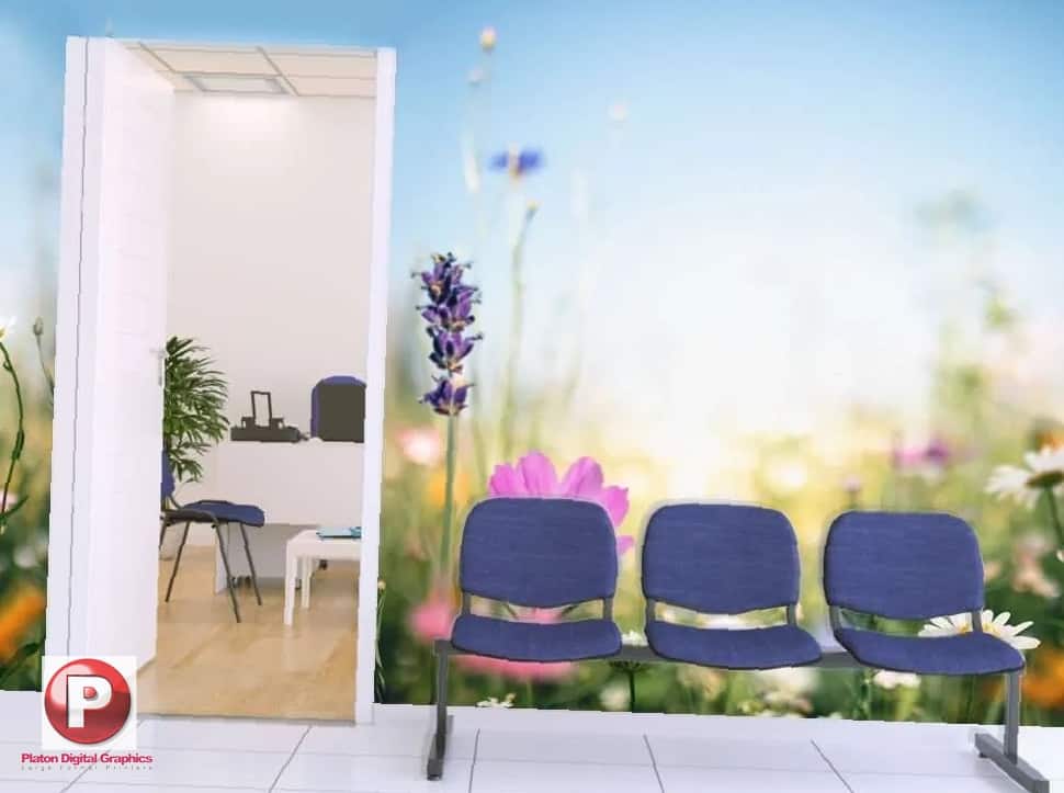 Los Angeles Museum Exhibit Adhesive Vinyl Wall Murals Installation