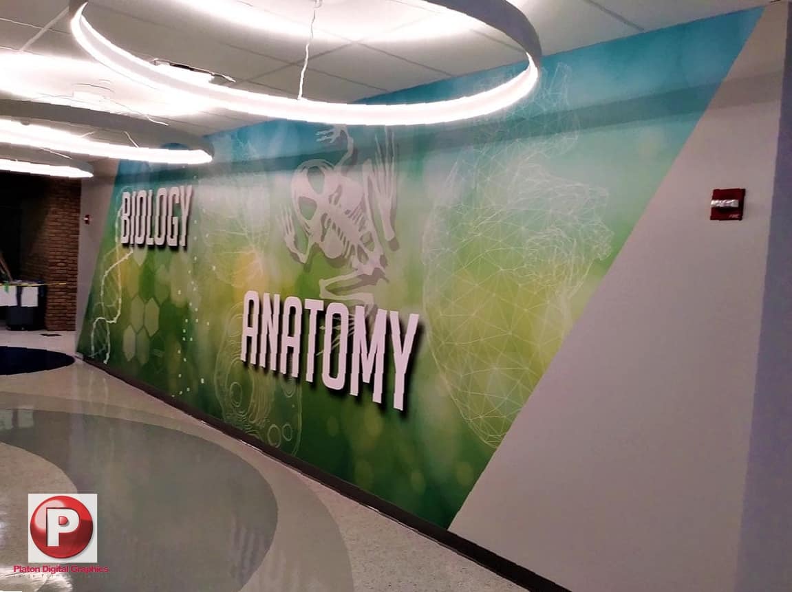 Los Angeles Wall Murals For Office