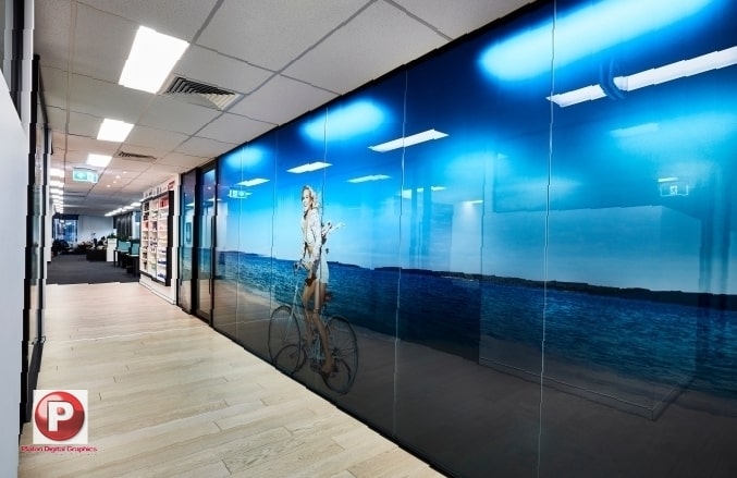 Vinyl Wall Graphics & Decals