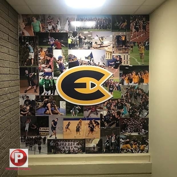 Wall Mural Wraps
